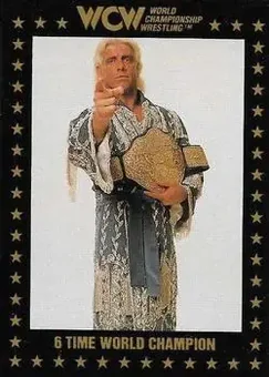 1991 Championship Marketing WCW #80 - Card #80
