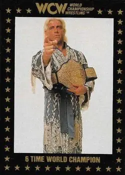 1991 Championship Marketing WCW #80 - Card #80 - Front
