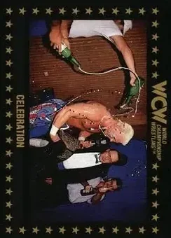1991 Championship Marketing WCW #83 - Card #83