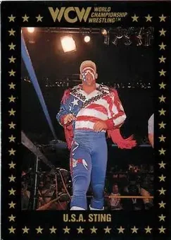 1991 Championship Marketing WCW #84 - Card #84