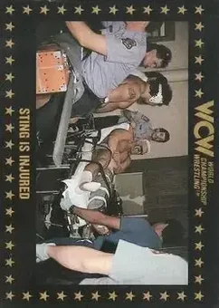 1991 Championship Marketing WCW #85 - Card #85
