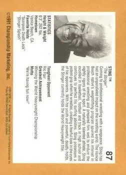 1991 Championship Marketing WCW #87 - Card #87