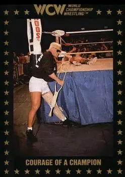 1991 Championship Marketing WCW #87 - Card #87