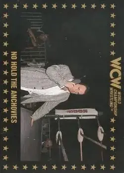 1991 Championship Marketing WCW #88 - Card #88