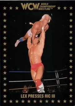 1991 Championship Marketing WCW #89 - Card #89