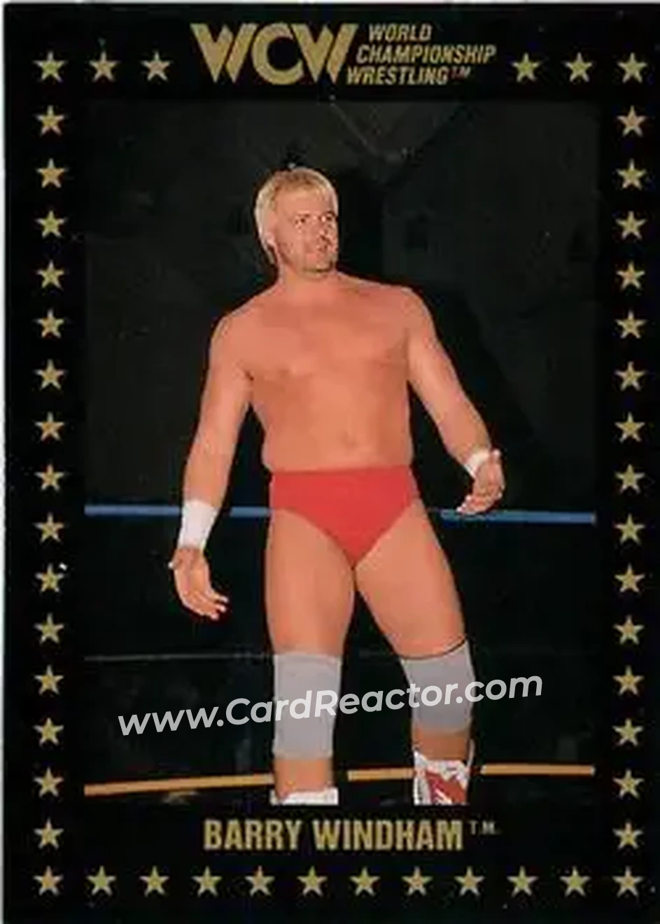1991 Championship Marketing WCW #90 - The Widow Maker 1991 Championship Marketing WCW #90 - The Widow Maker