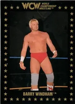 1991 Championship Marketing WCW #90 - The Widow Maker 1991 Championship Marketing WCW #90 - The Widow Maker