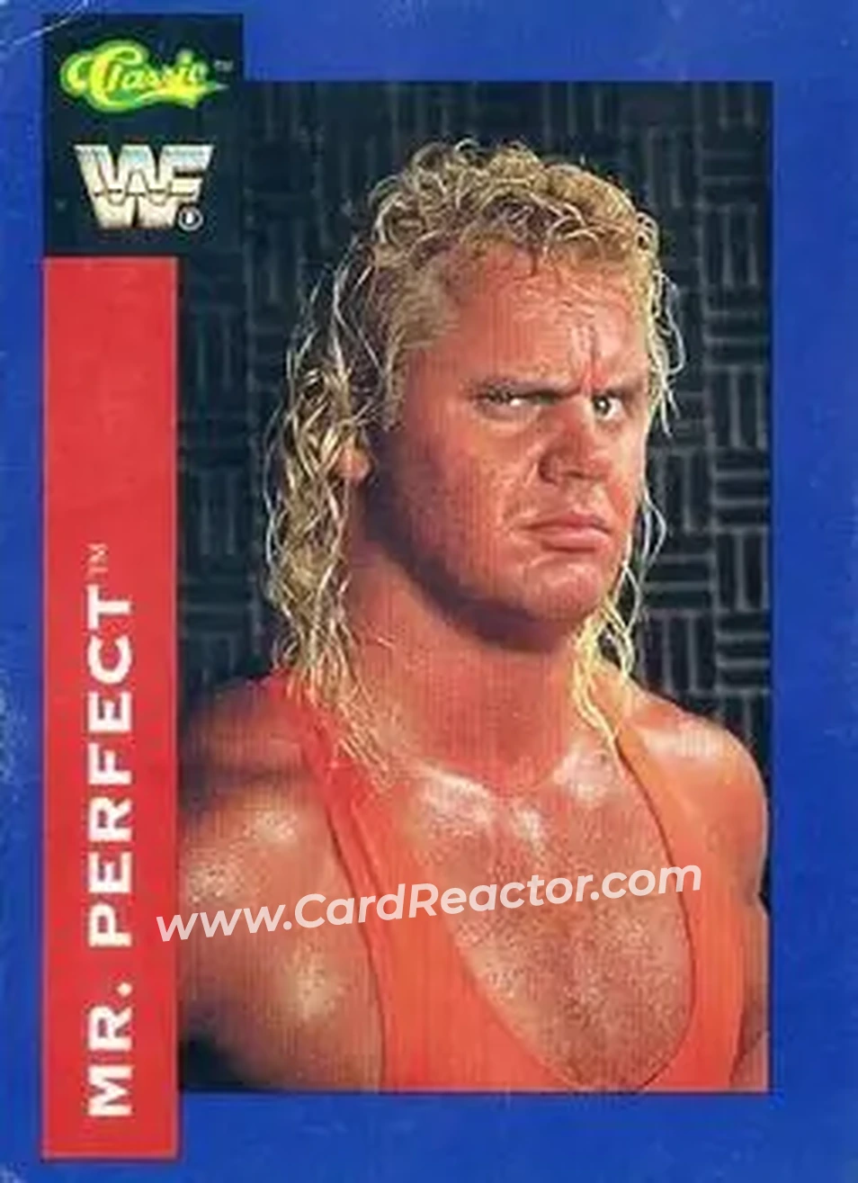 1991 Classic WWF Superstars #113 - Mr. Perfect
