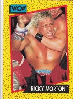 1991 Impel WCW #102 - Ricky Morton 1991 Impel WCW #102 - Ricky Morton