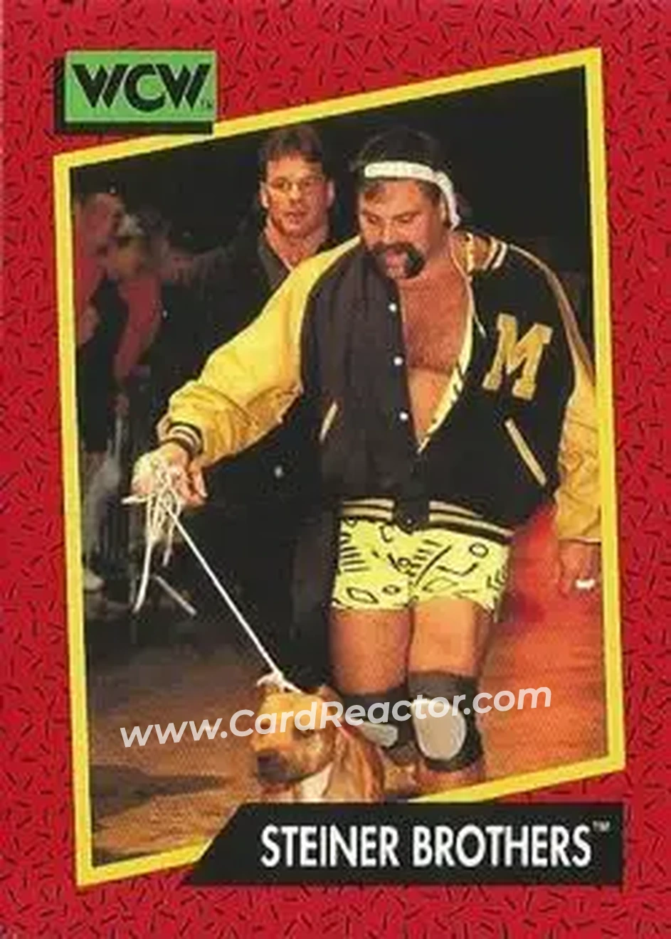 1991 Impel WCW #103 - The Steiner Brothers