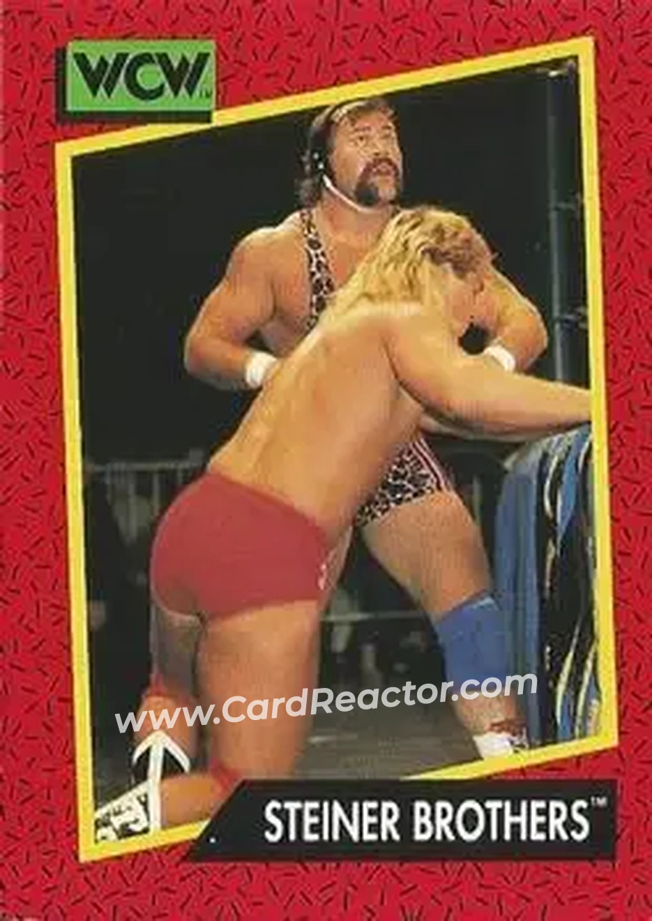 1991 Impel WCW #104 - The Steiner Brothers