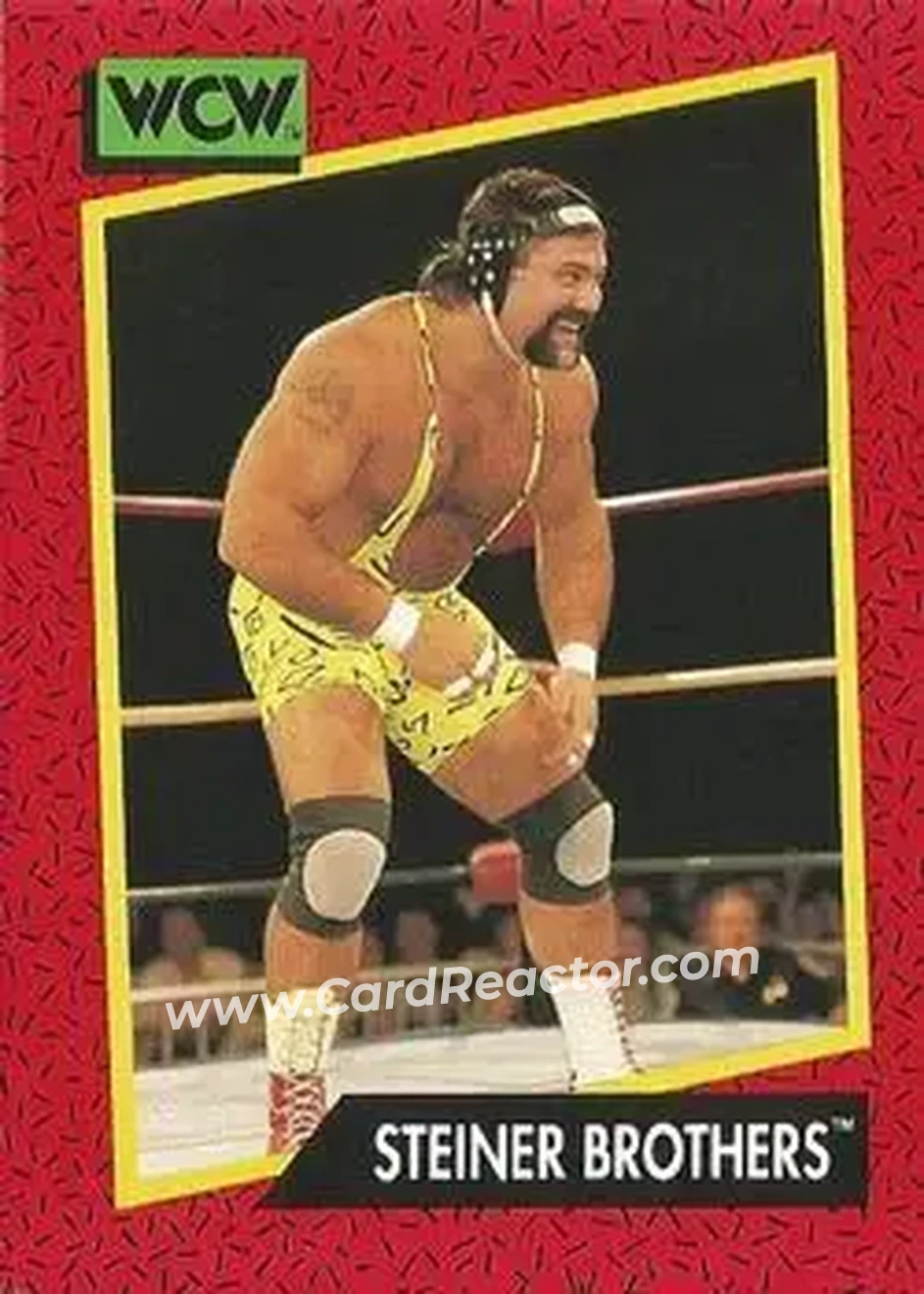 1991 Impel WCW #105 - The Steiner Brothers