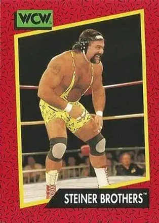 1991 Impel WCW #105 - The Steiner Brothers 1991 Impel WCW #105 - The Steiner Brothers