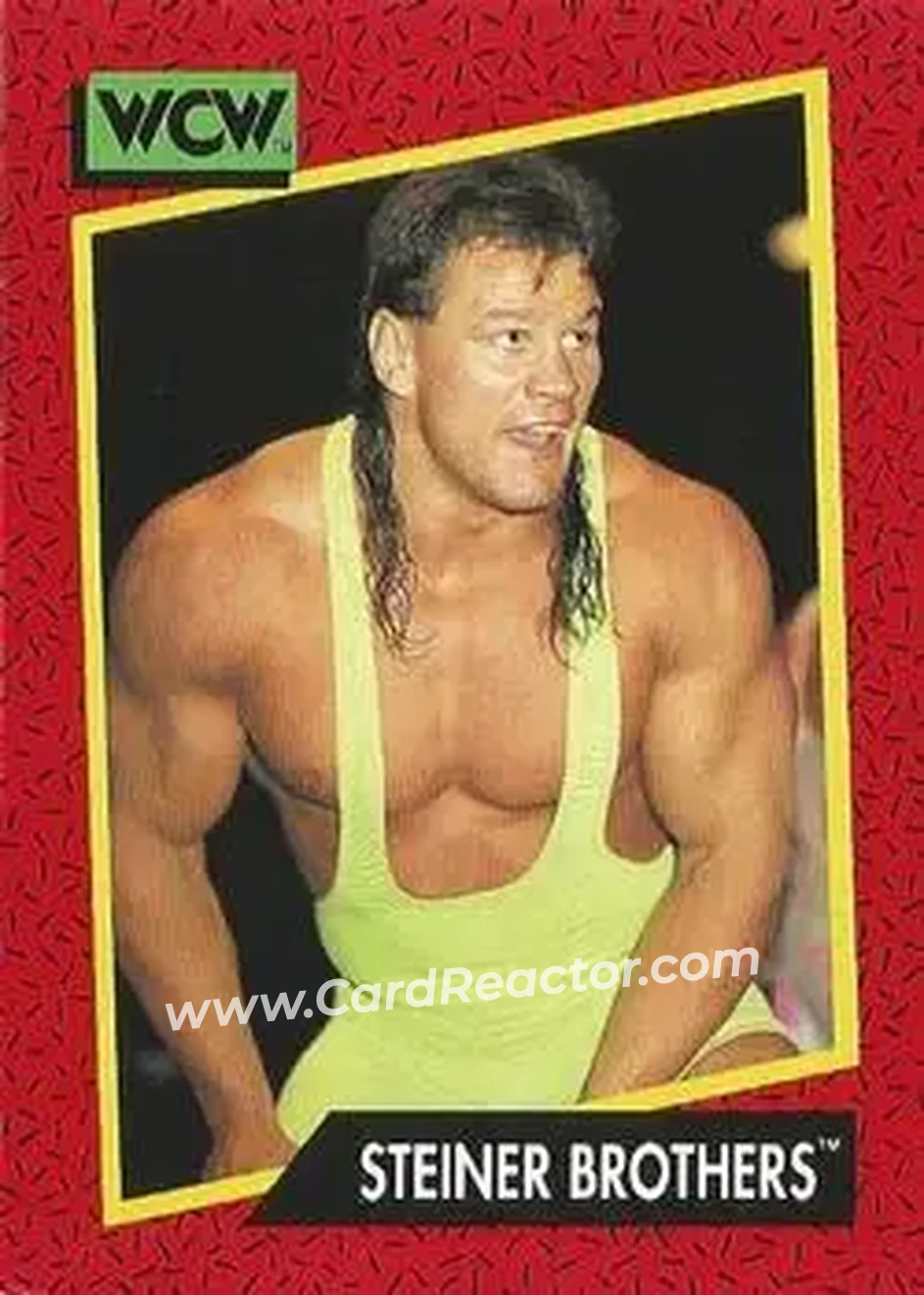 1991 Impel WCW #106 - The Steiner Brothers