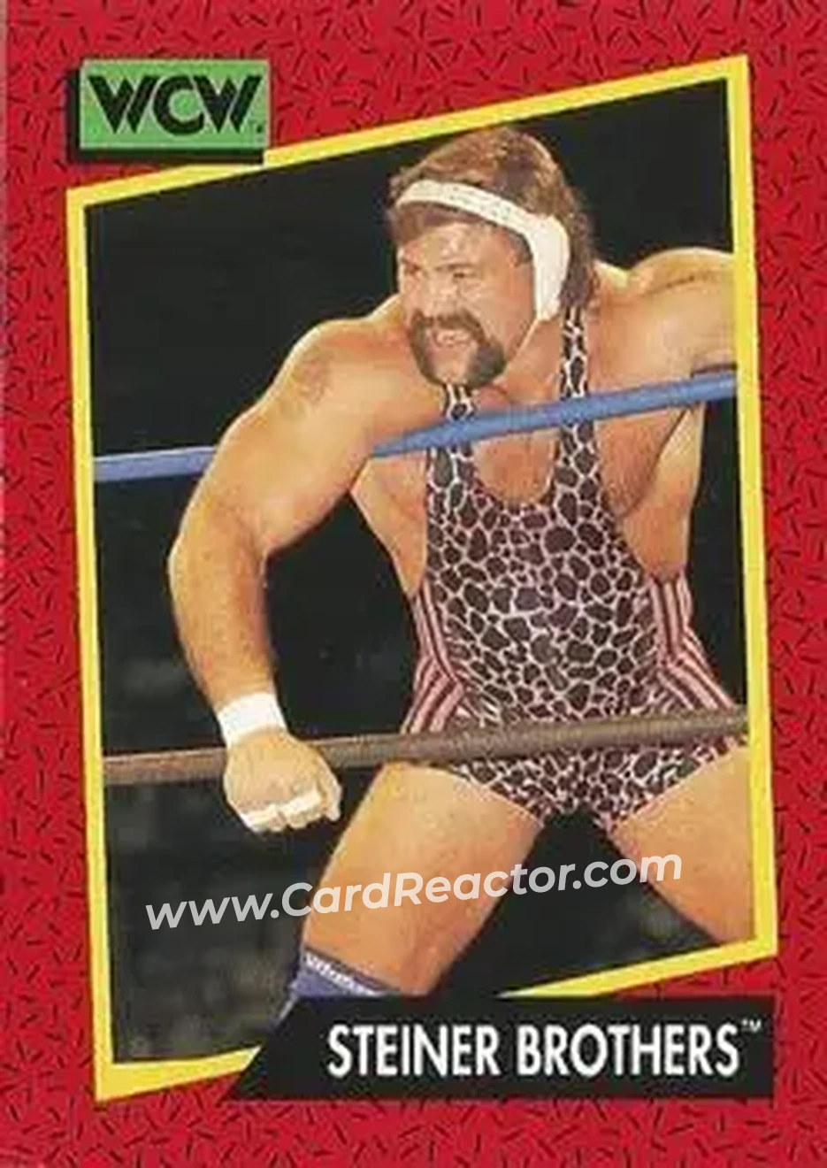 1991 Impel WCW #107 - The Steiner Brothers
