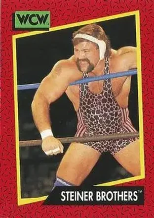 1991 Impel WCW #107 - The Steiner Brothers 1991 Impel WCW #107 - The Steiner Brothers