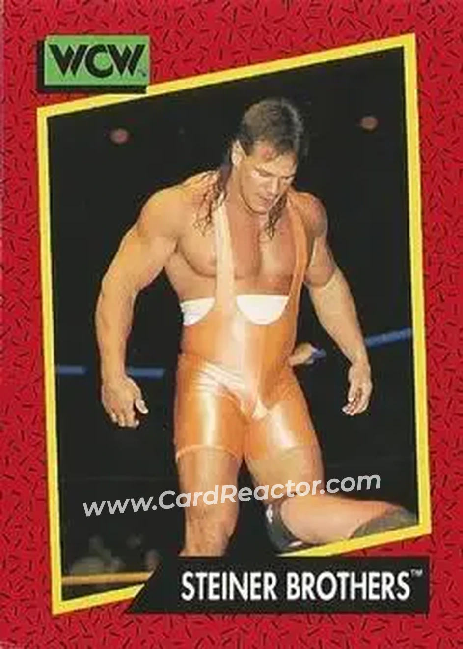 1991 Impel WCW #108 - The Steiner Brothers 1991 Impel WCW #108 - The Steiner Brothers