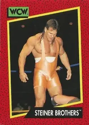 1991 Impel WCW #108 - The Steiner Brothers