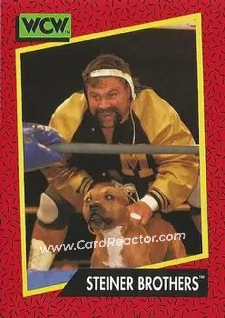 1991 Impel WCW #109 - The Steiner Brothers