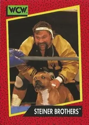 1991 Impel WCW #109 - The Steiner Brothers 1991 Impel WCW #109 - The Steiner Brothers