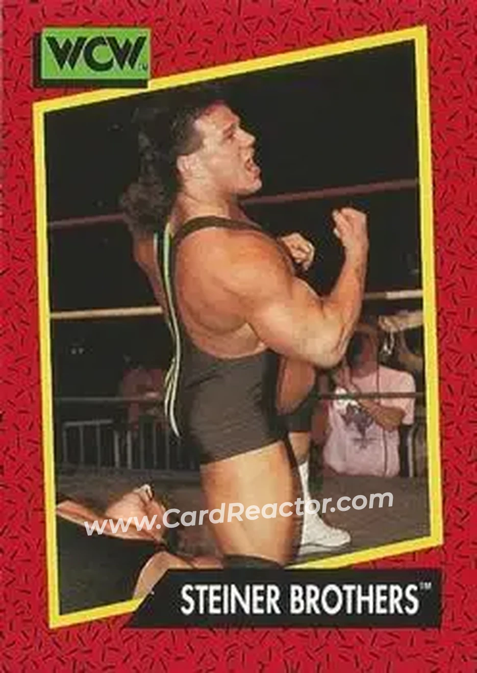 1991 Impel WCW #110 - The Steiner Brothers