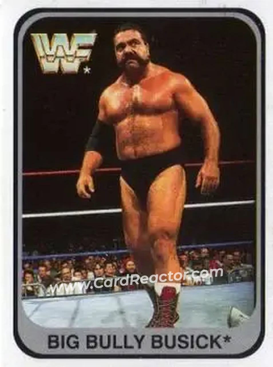 1991 Merlin WWF #107 - Big Bully Busick