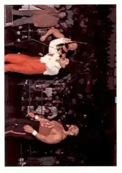1988 Wonderama NWA #288 - Paul Jones