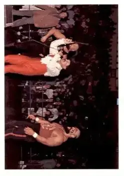 1988 Wonderama NWA #288 - Paul Jones