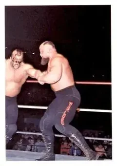 1988 Wonderama NWA #290 - Card #290