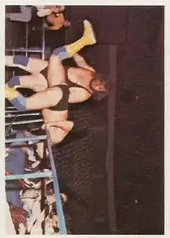 1988 Wonderama NWA #293 - Black Bart