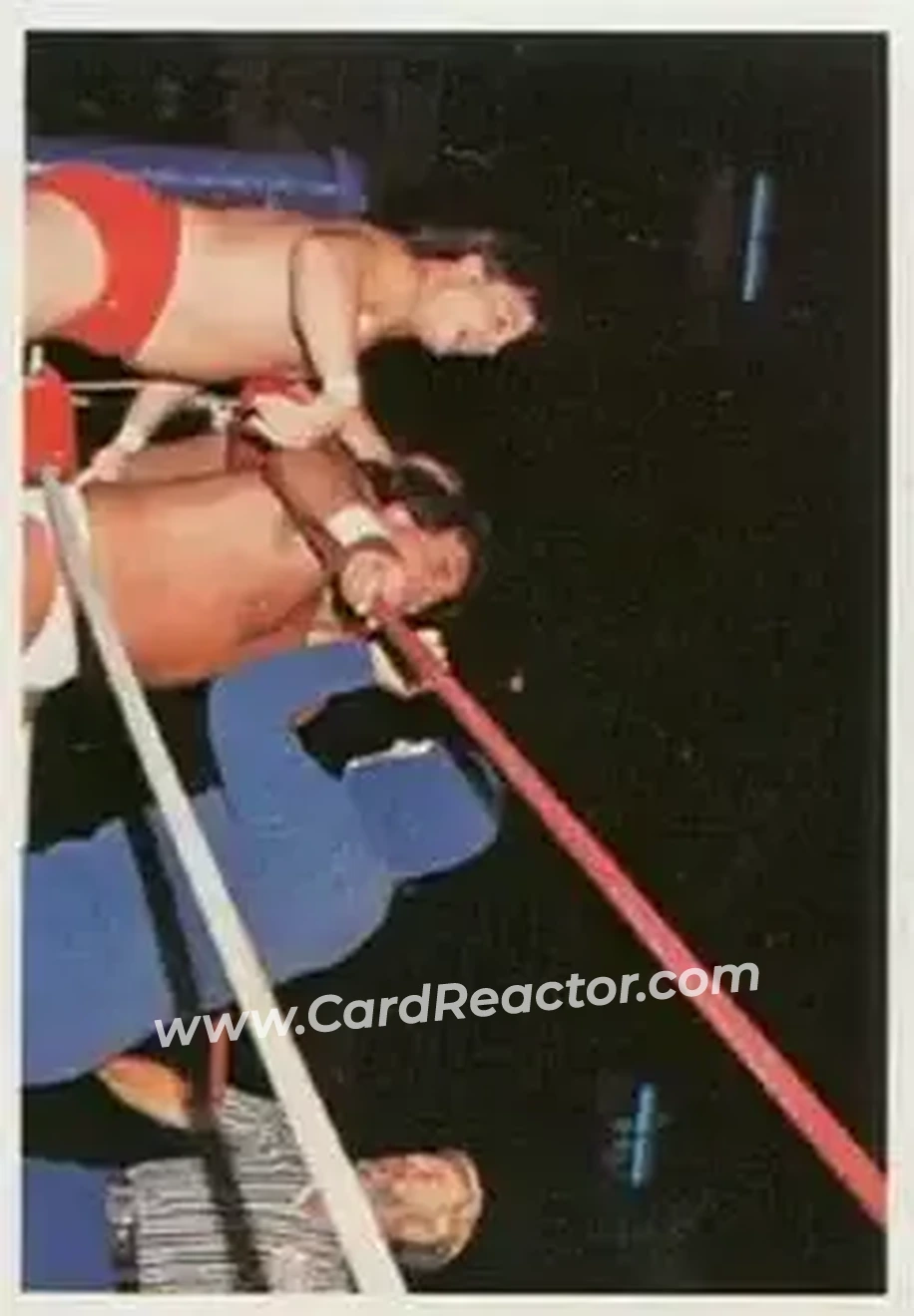 1988 Wonderama NWA #294 - Gladiator #1