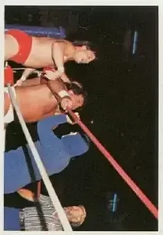 1988 Wonderama NWA #294 - Gladiator #1