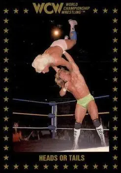 1991 Championship Marketing WCW #91 - Card #91 - Front