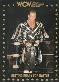 1991 Championship Marketing WCW #93 - Card #93