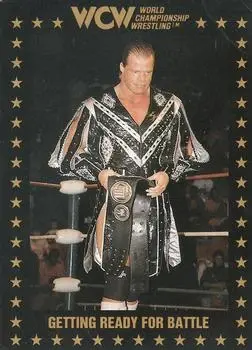 1991 Championship Marketing WCW #93 - Card #93 - Front