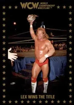 1991 Championship Marketing WCW #94 - Card #94
