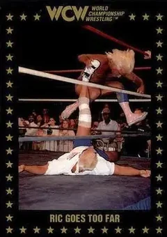 1991 Championship Marketing WCW #95 - Card #95