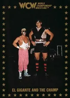 1991 Championship Marketing WCW #96 - Card #96