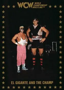 1991 Championship Marketing WCW #96 - Card #96 - Front 1991 Championship Marketing WCW #96 - Card #96 - Front