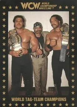 1991 Championship Marketing WCW #98 - Card #98