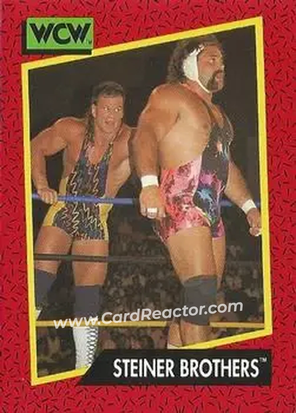 1991 Impel WCW #111 - The Steiner Brothers