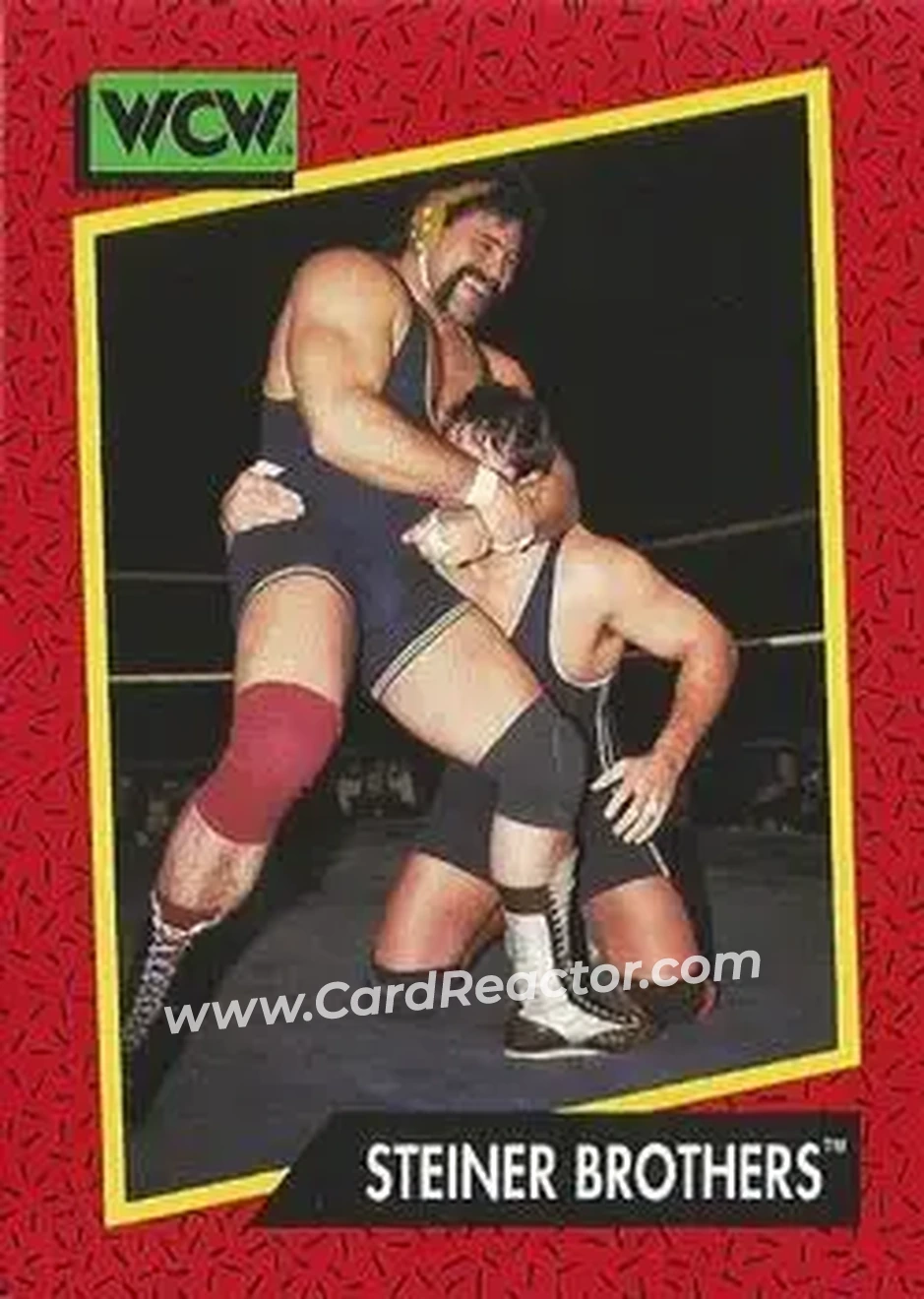 1991 Impel WCW #112 - The Steiner Brothers