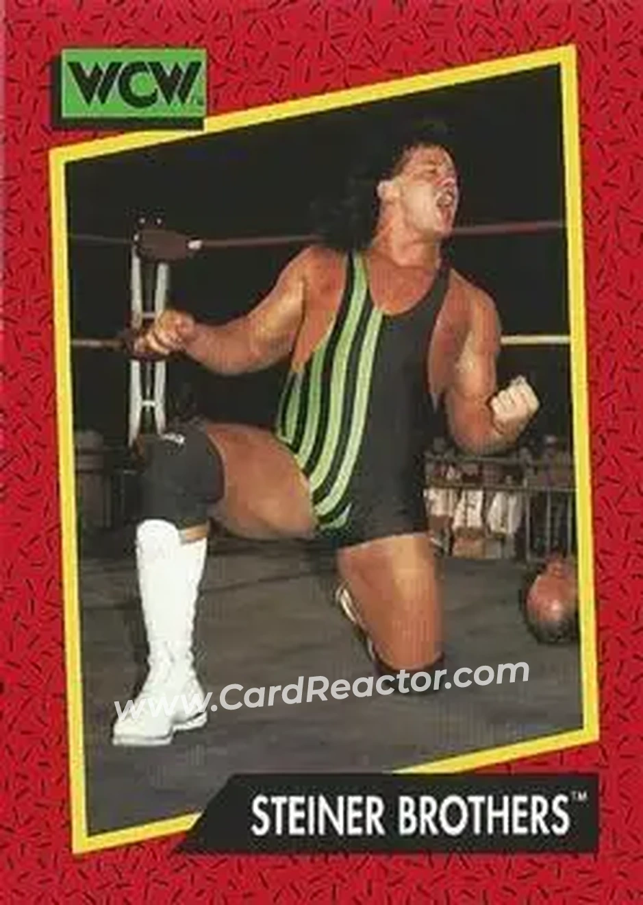 1991 Impel WCW #113 - The Steiner Brothers