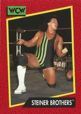 1991 Impel WCW #113 - The Steiner Brothers