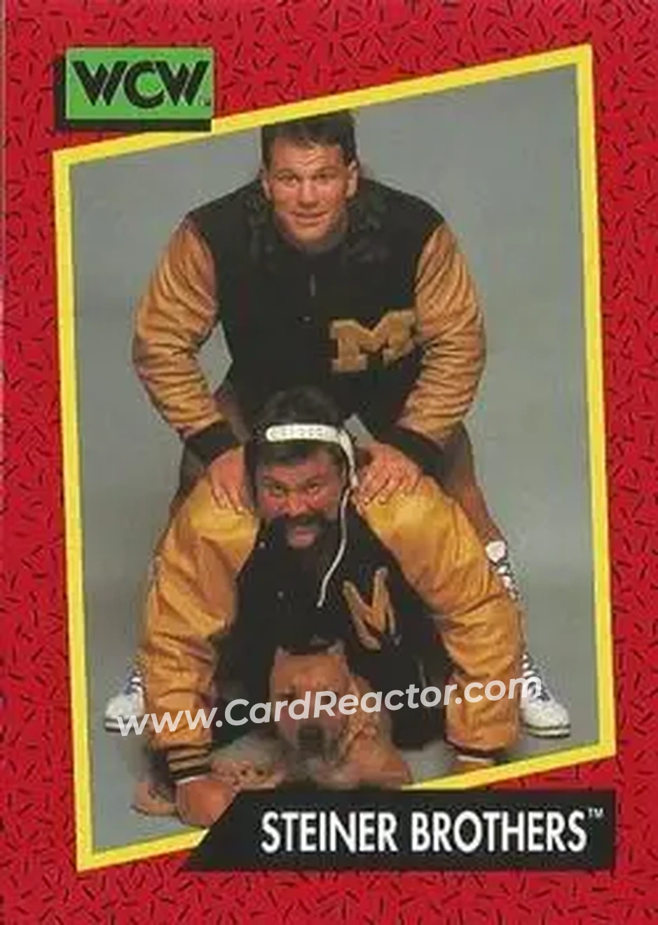 1991 Impel WCW #114 - The Steiner Brothers