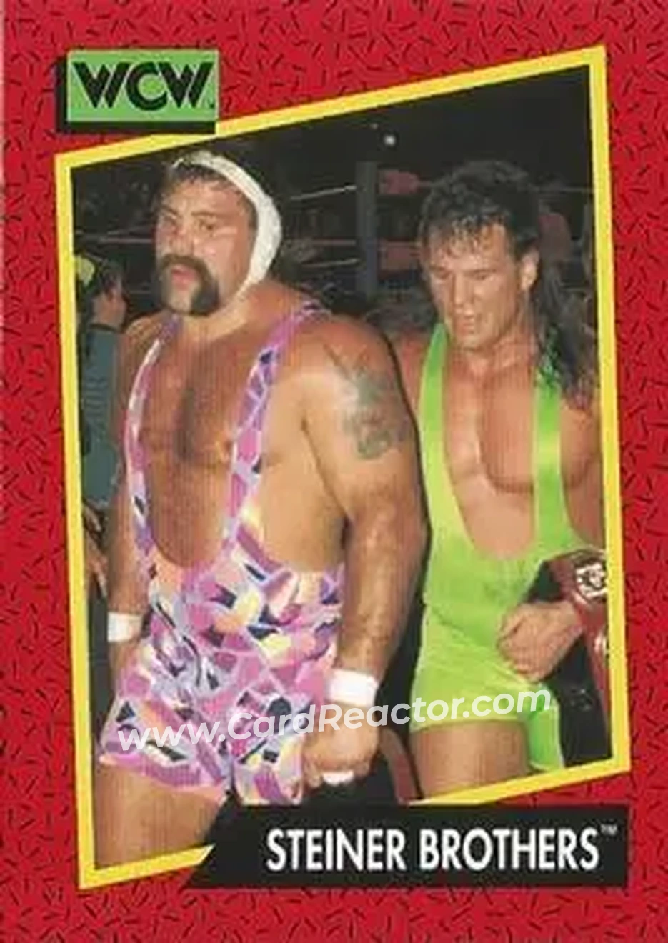 1991 Impel WCW #115 - The Steiner Brothers