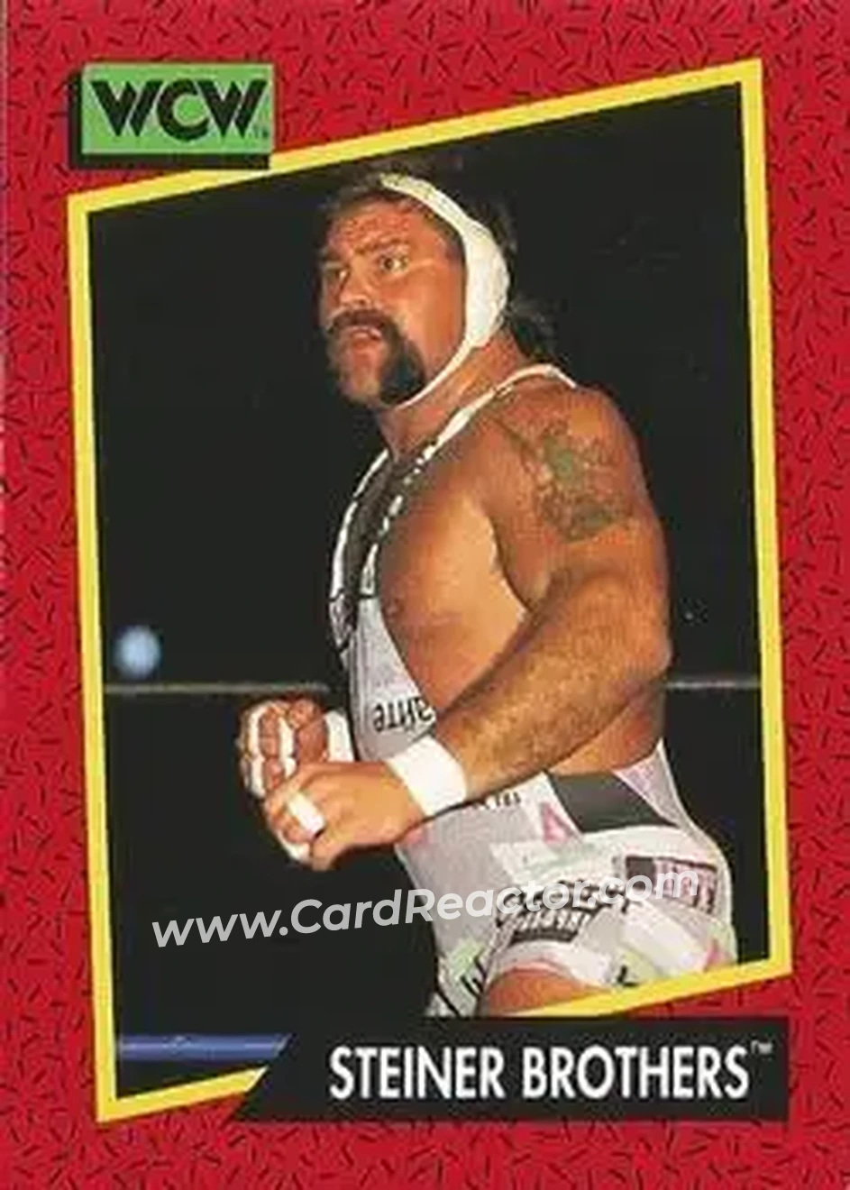 1991 Impel WCW #116 - The Steiner Brothers