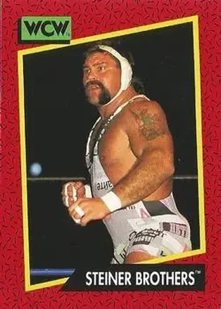 1991 Impel WCW #116 - The Steiner Brothers