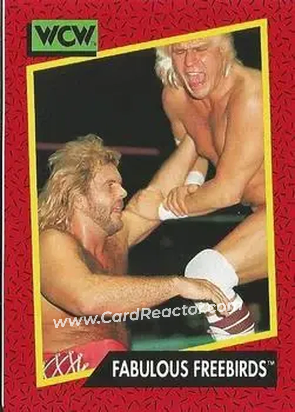 1991 Impel WCW #117 - Card #117