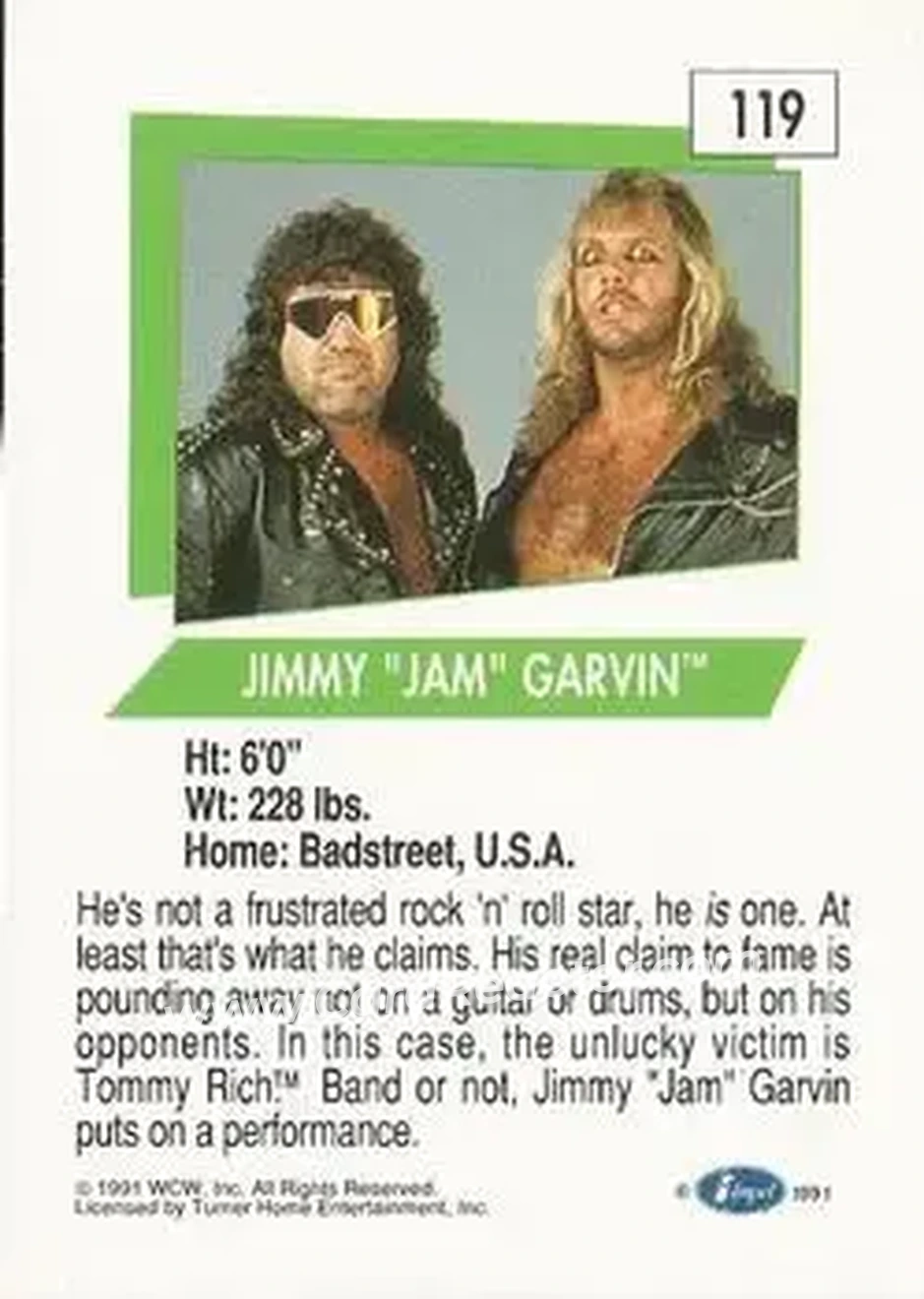 1991 Impel WCW #119 - Card #119